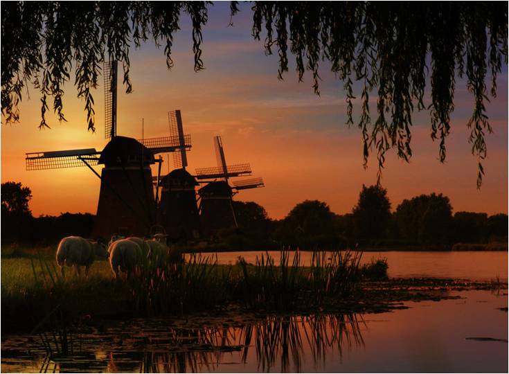 青少年足球锦标赛圆满落幕,青少年足球赛完美落幕