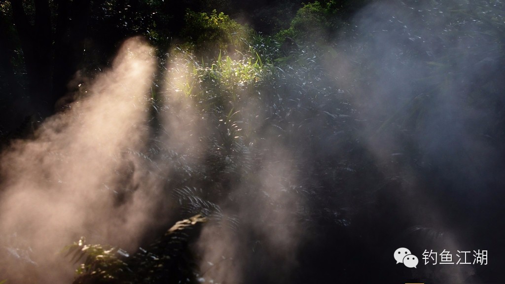 江湖揭秘——带你走进“日本”混乱渔具*市黑**，真相让你大跌眼镜！