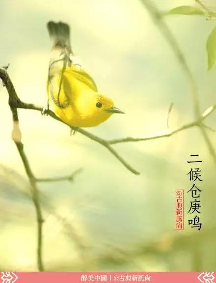 惊蛰二月节书法,惊蛰二月节古诗朗诵