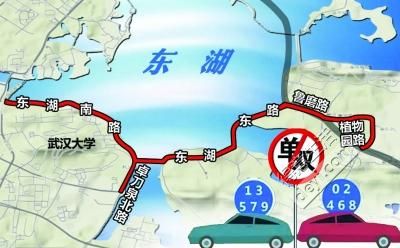 武汉武大樱花视频,武大樱花秀