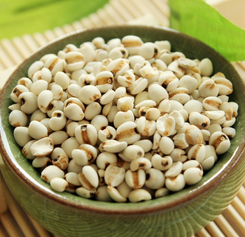 准妈妈不可以吃哪些食物,准妈妈可以吃哪些蔬菜