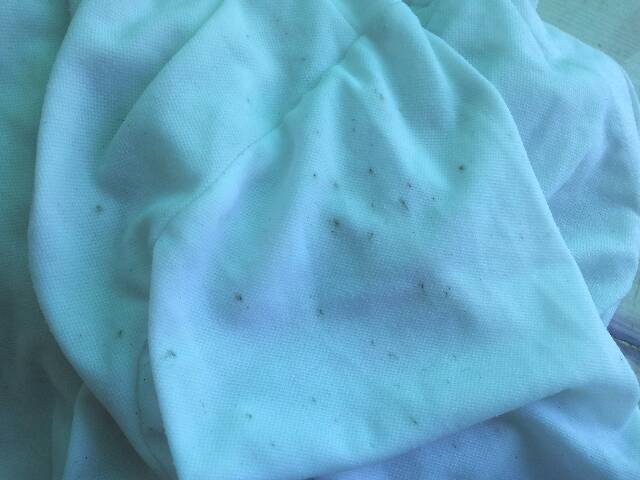 天气潮湿会导致皮肤敏感,衣服毛巾上的霉点