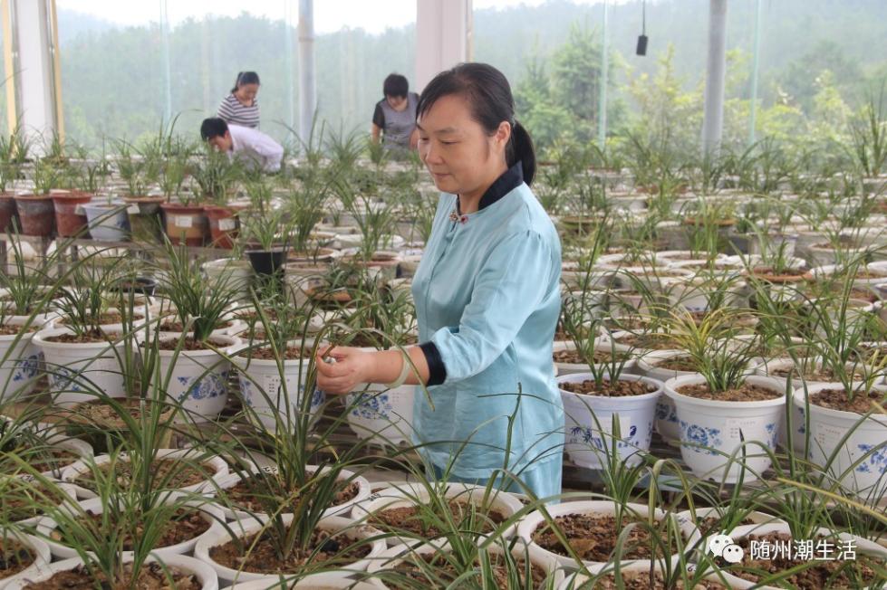 那些你不知道的原声,那些你不知道的精彩片段