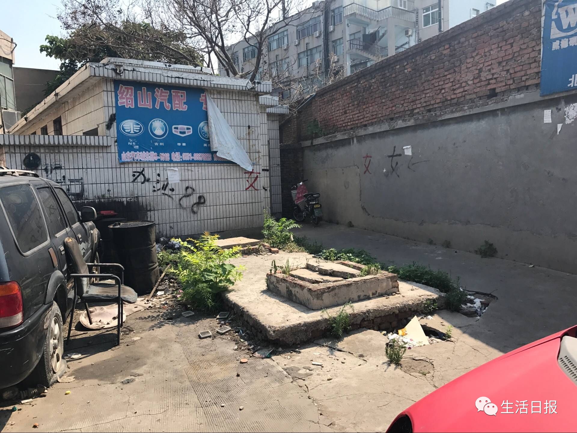 女子被自家宠物狗咬伤,女子被两只恶狗咬伤