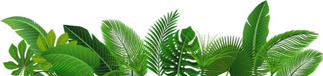 最好用的脱毛产品推荐,推荐一款脱毛产品