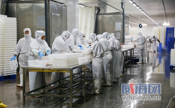 产业转型发展呈现新气象,产业撬动工程