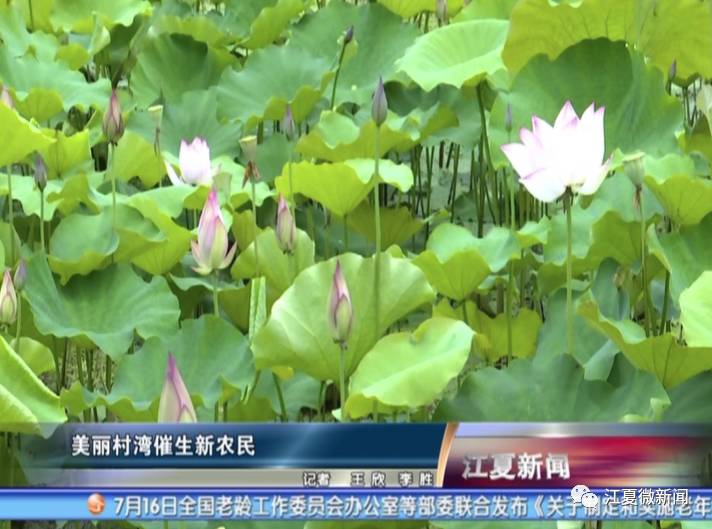 新闻三分钟晓知天下事,江夏新闻阅读两分钟