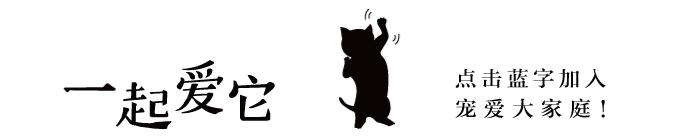 养宠小知识狗狗拉虫子还吐怎么办,养宠小知识幼犬掉毛是什么原因