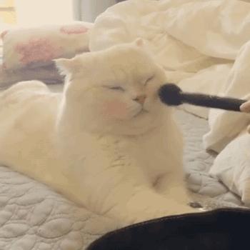 悦美妆集合店,悦美妆