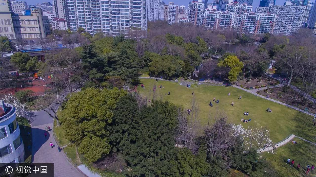 上海乘凉哪里好玩,上海周末乘凉地点排名前十