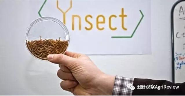 全球最强农业公司排名榜最新,农业创业十大风口企业