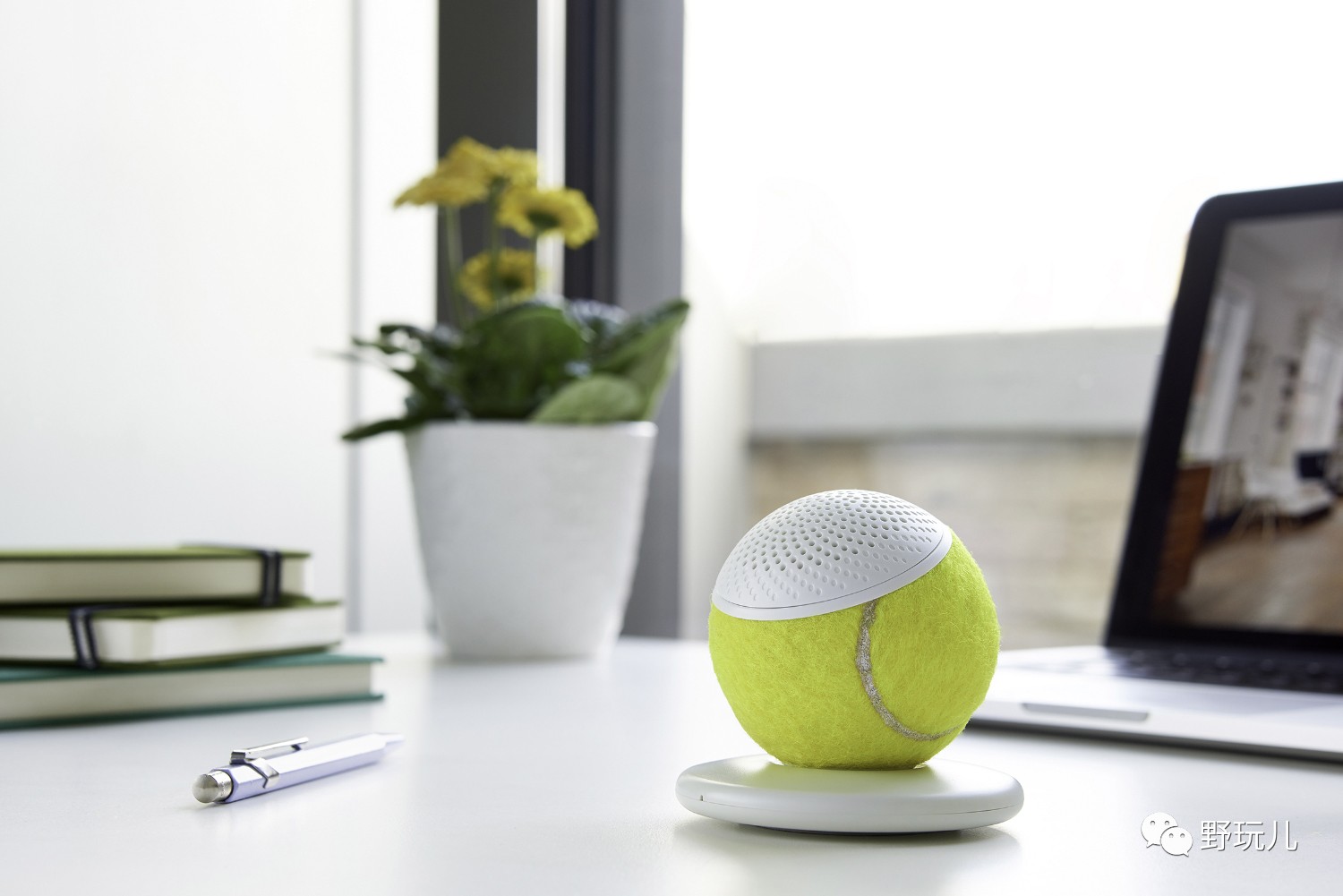 每年有20多万网球被弃有人捡走做了笔大生意！