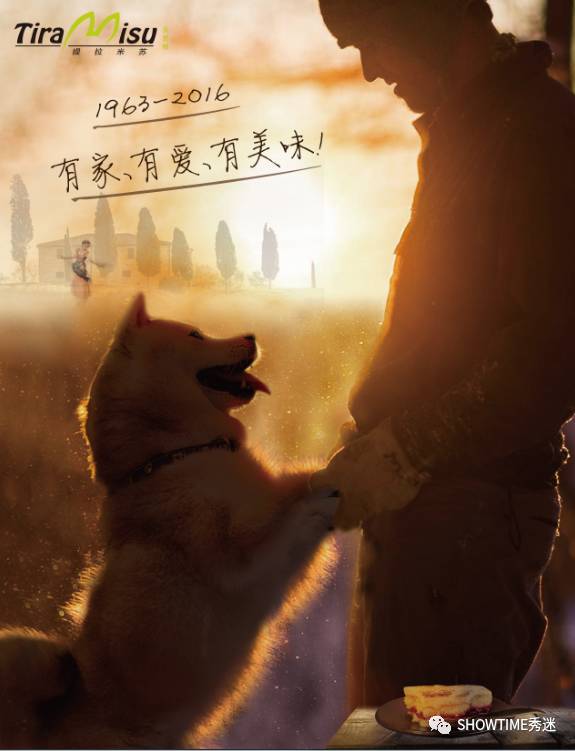 狗粮品牌系列展示设计,狗粮宣传设计