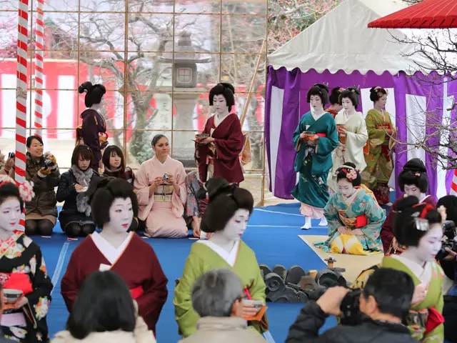 日本樱花盛开之时游人如织,日本已经等不及了