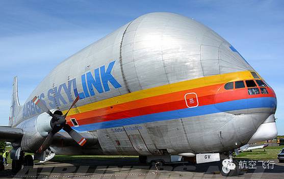 变异变形飞机,变异飞机鹦鹉