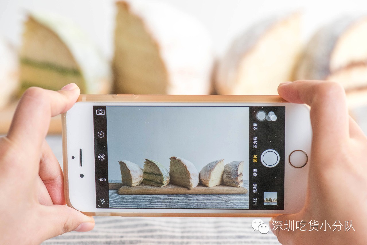 奶酪包如何火的,奶酪包是怎么火的