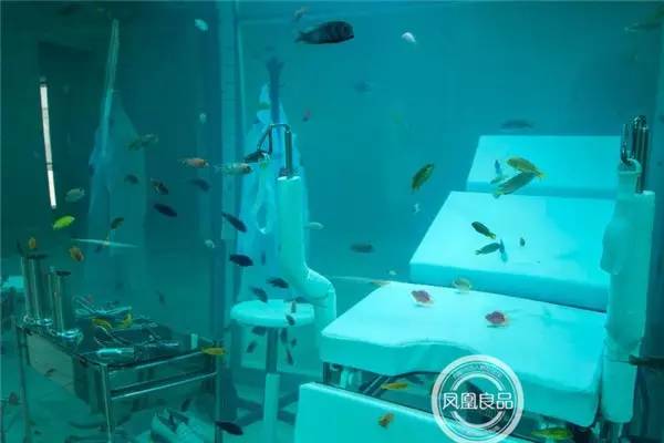 逛翻时装周之米兰站博主把最新款Moschino手机壳给你带回来了！