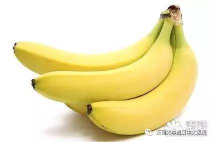 水果性格对照表,喜欢的水果判断性格测试