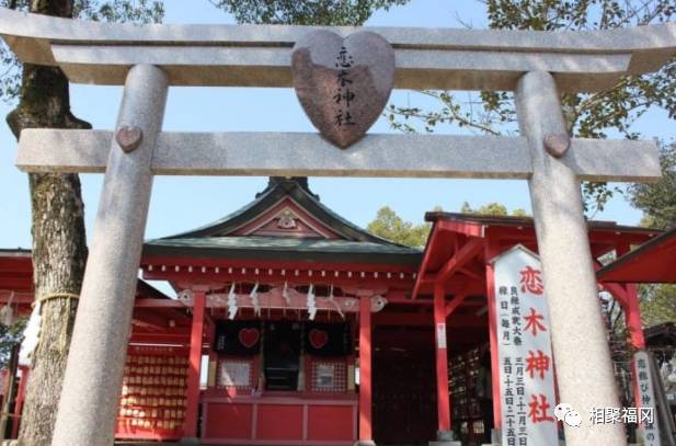 日本九州岛最值得去的地方,日本九州哪里好玩