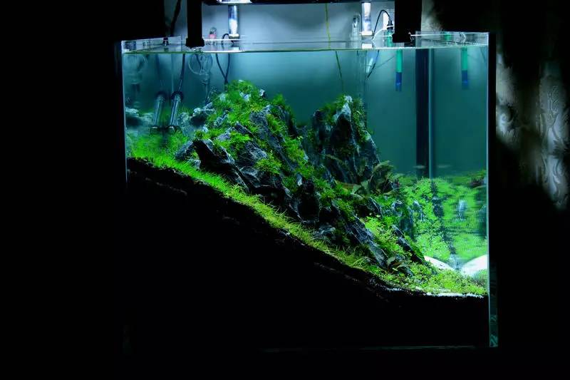 旅游时看到山川河流的感悟,旅游途中看到的景物