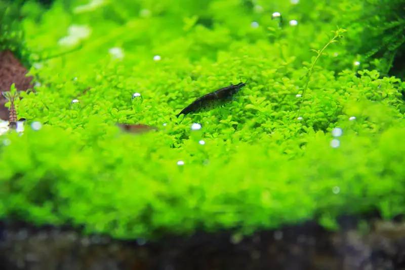 旅游时看到山川河流的感悟,旅游途中看到的景物