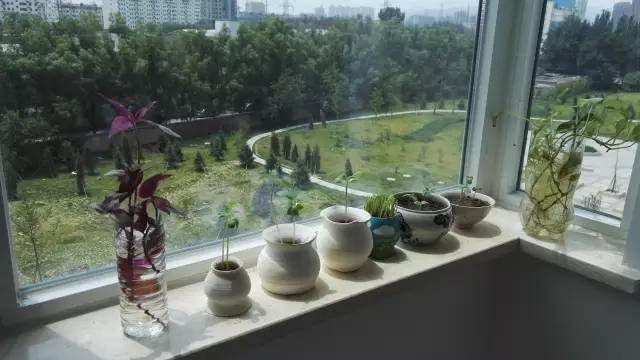 北京回龙观医院日间康复,回龙观医院有康复科吗