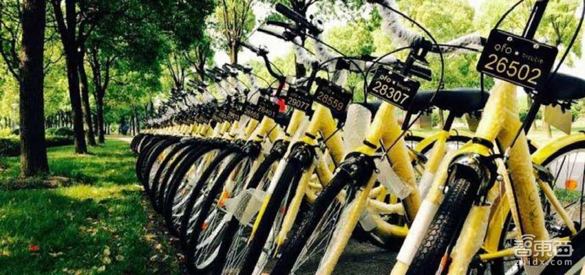 阿迪达斯推出3D打印跑鞋ofo宣布进驻厦门成都