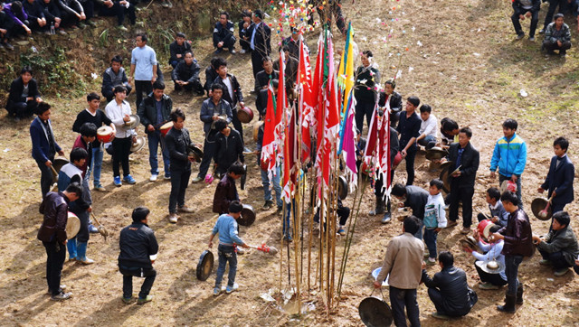 苗寨斗牛风俗视频,苗寨斗牛活动