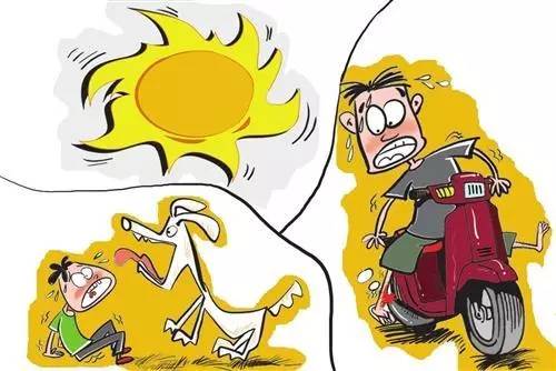 啥？！“乖宠”变“猛兽”？扎心了！但是，机智的我早已为你看穿这一切！