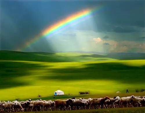 对不起，我去草原了，别再找我了……