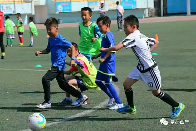 中国少年足球贝贝杯,贝贝杯足球俱乐部比赛
