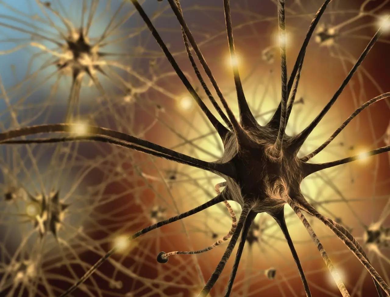 中国科学十大进展新闻发布稿,最新顶尖科学成果