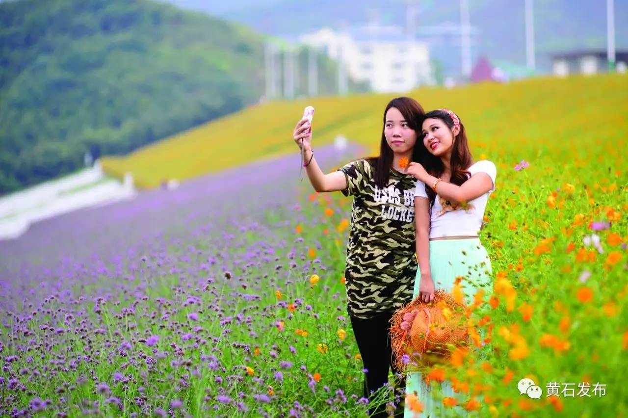 工业强区产业兴区,新旧动能起步区特色小镇