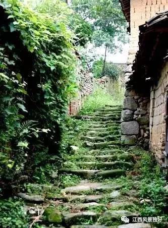 走遍江西100县南康区,走遍江西100县崇义县