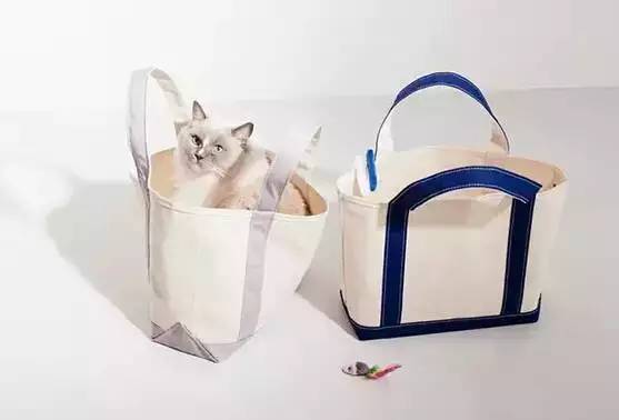 很火女明星包包,女明星最爱的大牌包包