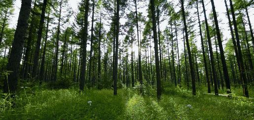 英国小哥到中国旅游,英国小哥来到中国旅游