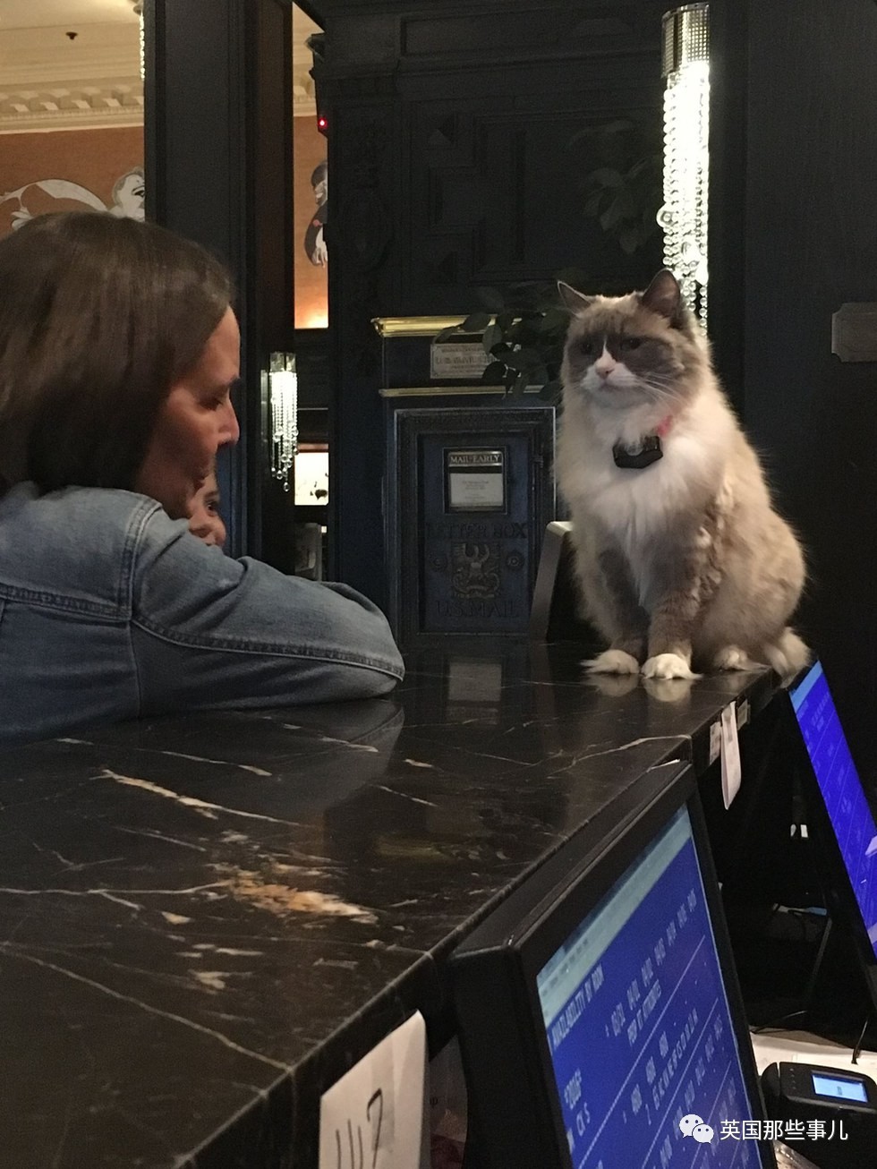 在职7年的喵掌柜终于退休，勤勤恳恳主动加班……对接任的也是放心不下啊……