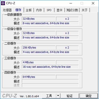 火鸡儿童科普,火鸡小科普