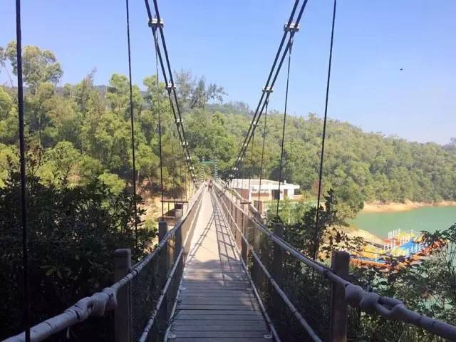 南海人常去的澳门,藏着一个黑色沙滩!薛凯琪、房祖名都去过拍戏!