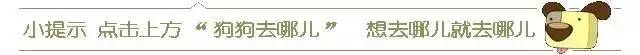 斑点狗长大了还会长出新的斑点吗,斑点狗刚出生的时候是长什么样的
