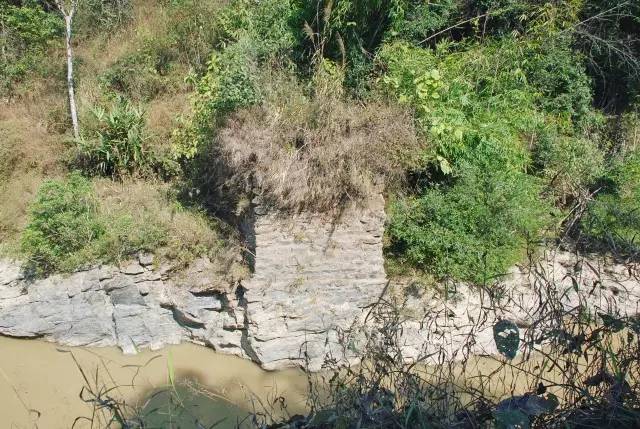 景迈山04｜远上茶山石径斜