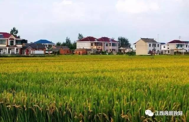 江西特色小镇一览表,江西旅游特色小镇