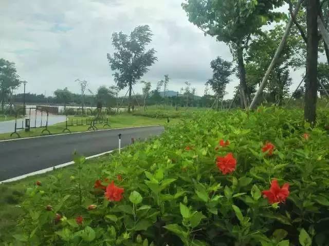 中山新开的景点,中山新兴景点大全