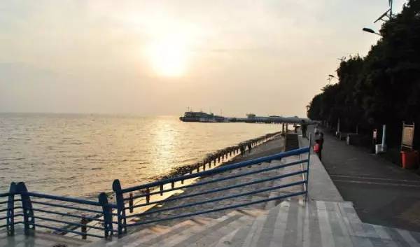 崇明体育运动基地,崇明区体育训练基地