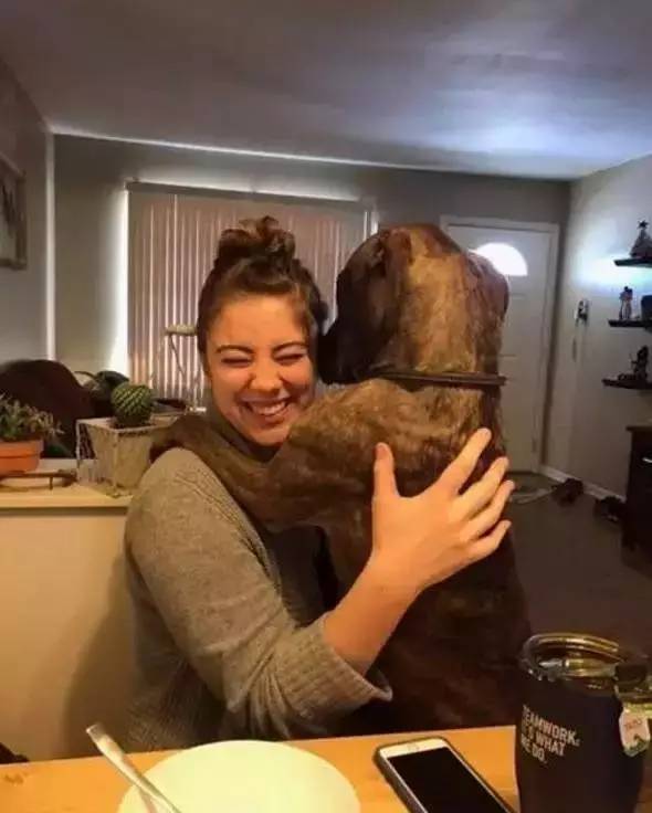 自从养了狗就没有了朋友,自从养了狗就没有朋友