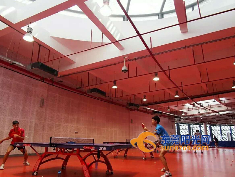 南城社区全民健身日,广东全民健身日活动