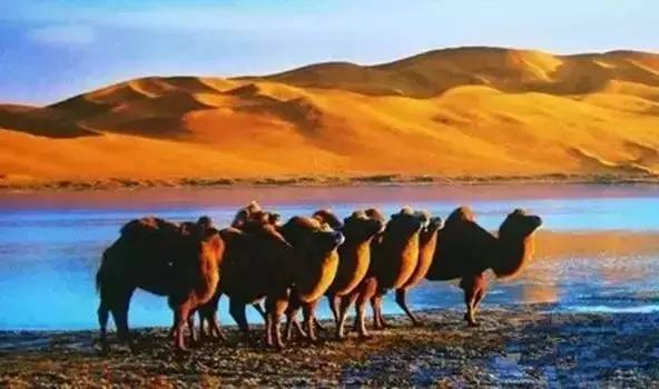 火车去青海沿途风景,青海人出国很难吗