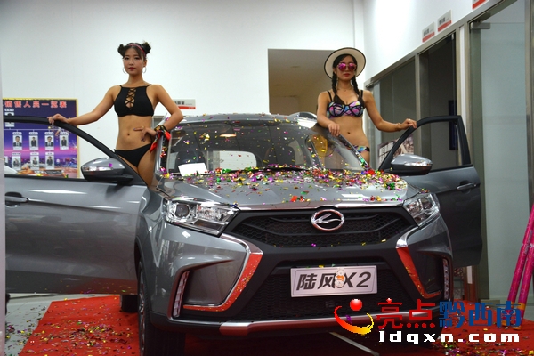 陆风x2最新报价,陆风x2新车价格多少钱