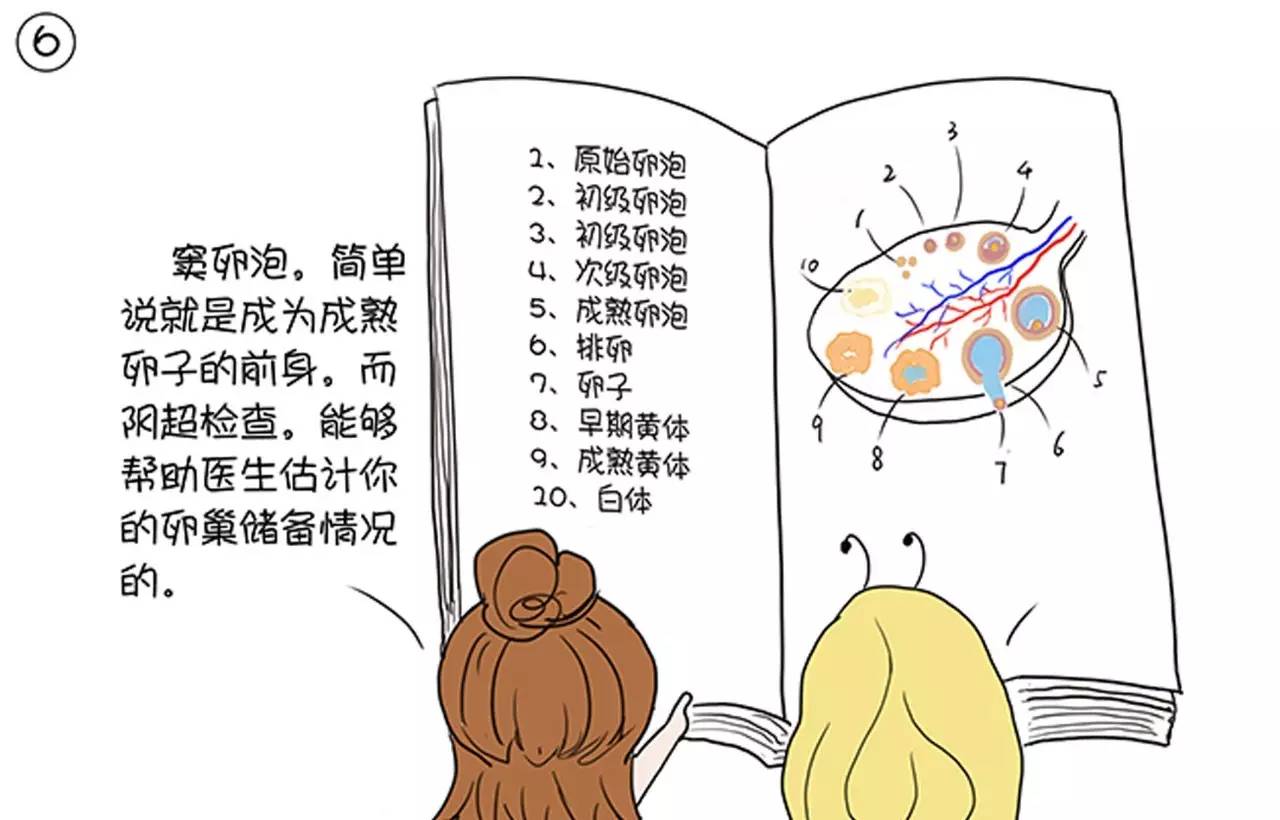 经期也可以做阴超吗,经期能做阴超吗