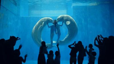 小孩去极地馆要钱吗,孩子第一次去极地馆